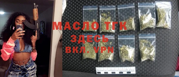 индика Слюдянка