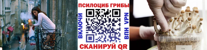 Псилоцибиновые грибы MAGIC MUSHROOMS  где можно купить   это клад  Белозерск 